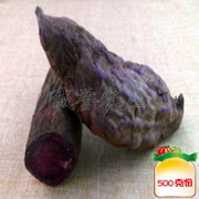 紫薯