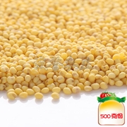 黄米（预定）