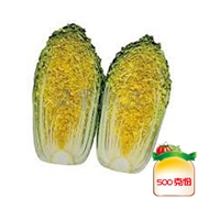 黄心白菜